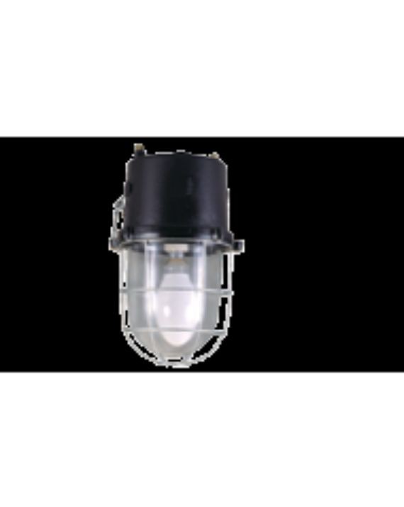 Wellglass WWM 54 - WWM 54125 1x125 W HPMV (BC lamp-holder)_(Conventional)